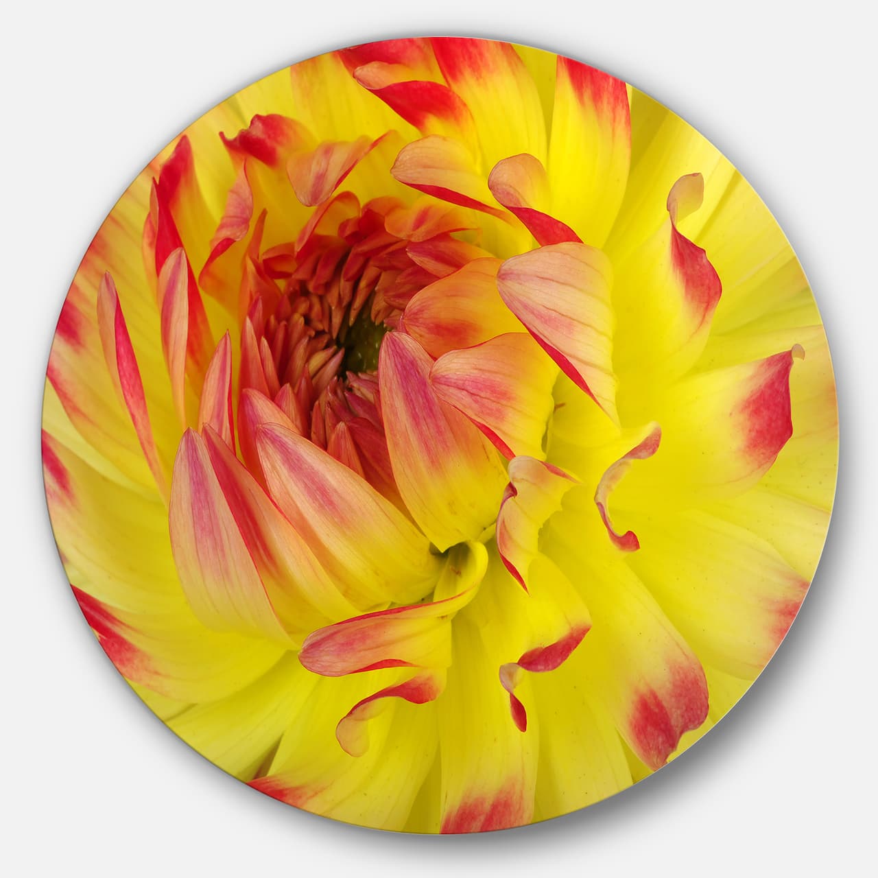 Designart - Smooth Yellow Red Flower Petals' Disc Floral Circle Metal Wall Decor
